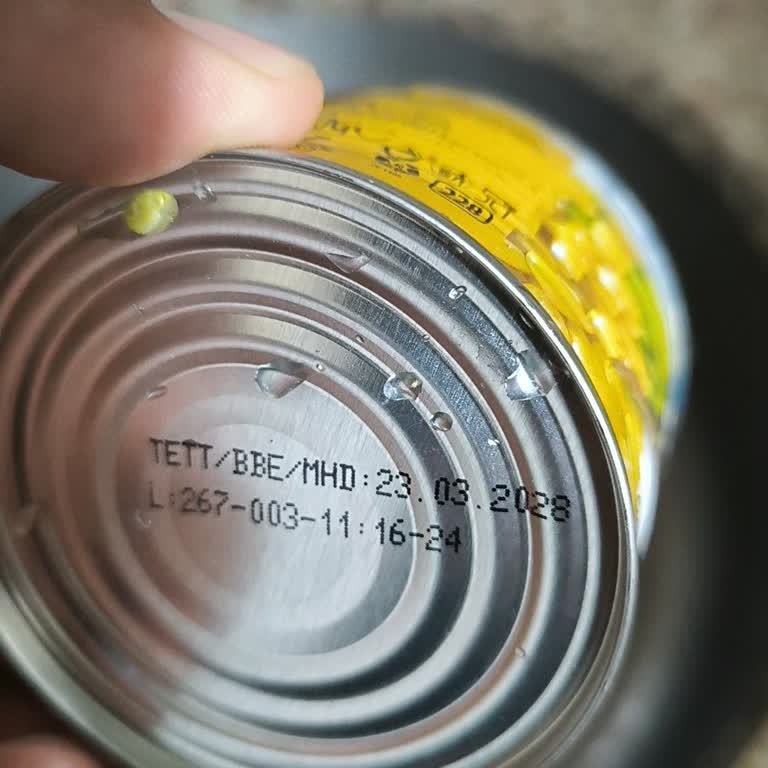 Aldığım Mısır Konservesinden Çıkanlar Beni Şaşırttı