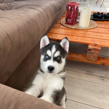 Ürün Ve Hizmet Beklentiyi Karşılamadı İletişim Sağlanamıyor