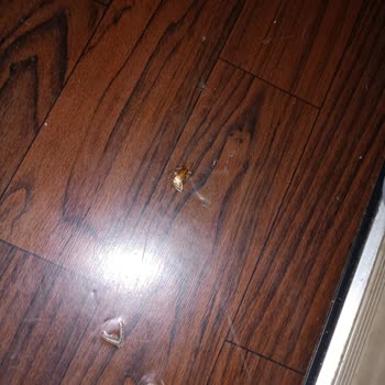 Otobüste Hijyen Sorunu Ve Yetersiz Personel Yaklaşımı