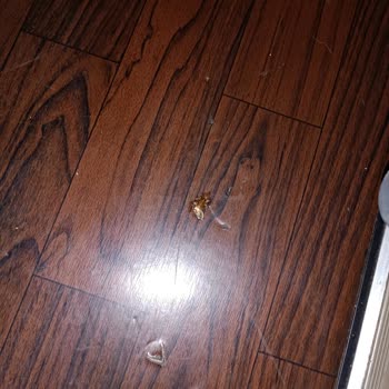 Otobüste Hijyen Sorunu Ve Yetersiz Personel Yaklaşımı
