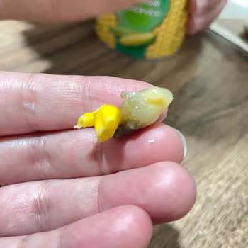 Mısır Konservesinden Çıkan Yabancı Madde Ve Ekşi Koku Şoku