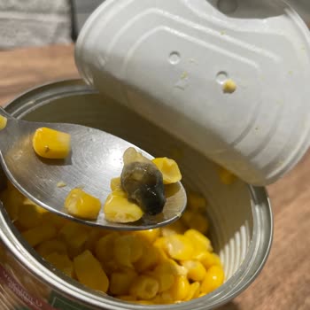 Mısır Konservesinden Çıkan Yabancı Madde Ve Ekşi Koku Şoku