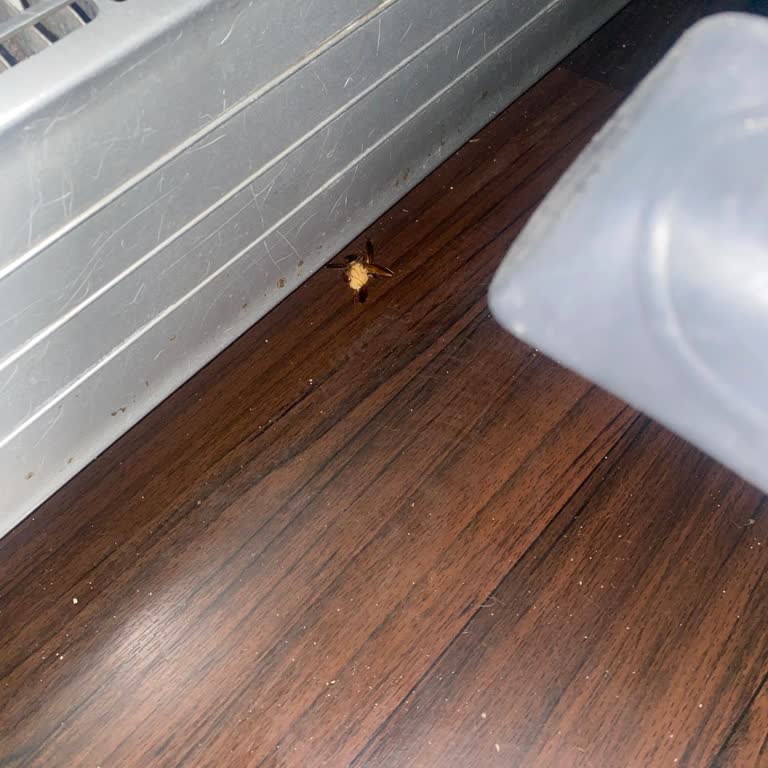 Otobüste Böcek İstilasına Ve Saygısız Personel Davranışına Maruz Kaldım!