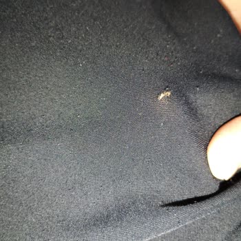 Üründe Hatalı Onarım Ve Olumsuz Mağaza Davranışı