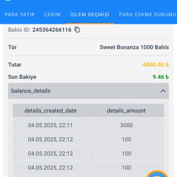 Hesabıma İzinsiz Giriş Ve Kaybolan Param İçin Çözüm Sunulmuyor