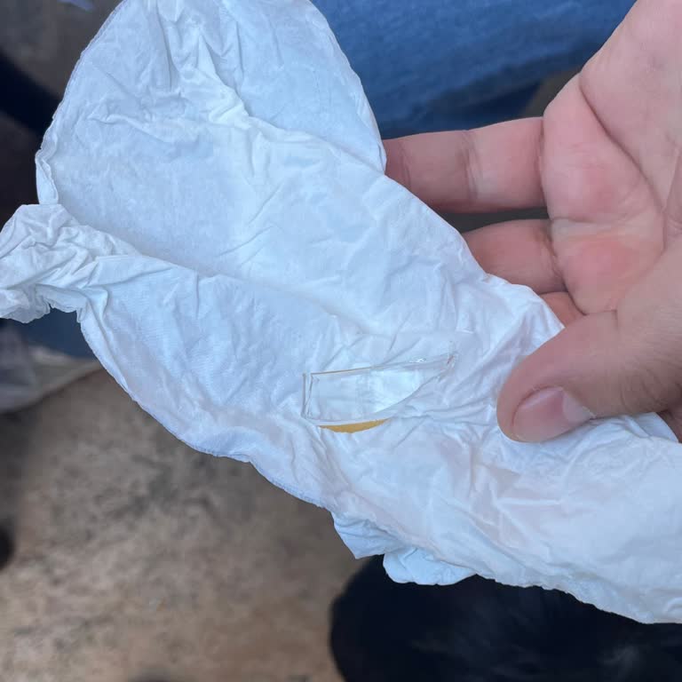 Hacı Hafız Mustafa'da Cam Kırıkları Nedeniyle Yaşanan Mağduriyet