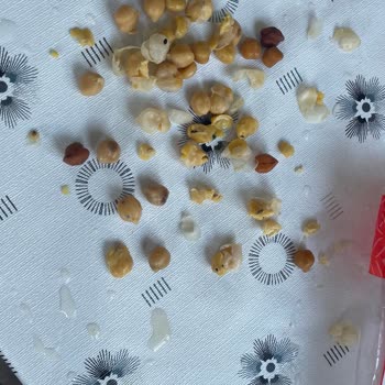 Tarım Kredi Kooperatif Market Aldığım Nohutların İçinden Böcek Çıktı