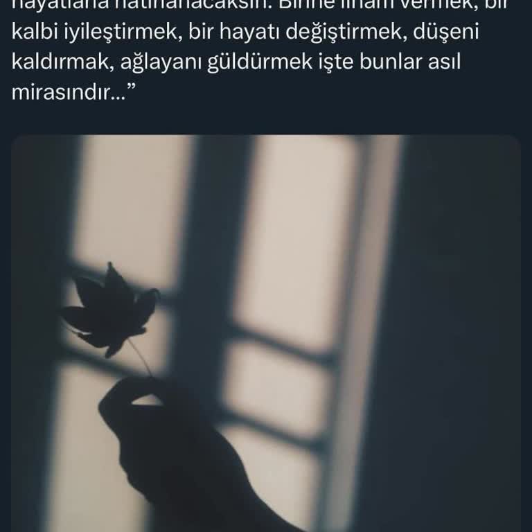 Sokak Hayvanlarına Uygulanan Şiddet Ve Toplumun Duyarsızlığı