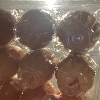 Getir Siparişimde Kırık Yumurtalar Ve Kötü Koku Sorunu Yaşadım