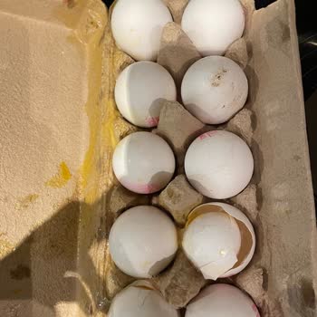 Getir Siparişimde Kırık Yumurtalar Ve Kötü Koku Sorunu Yaşadım