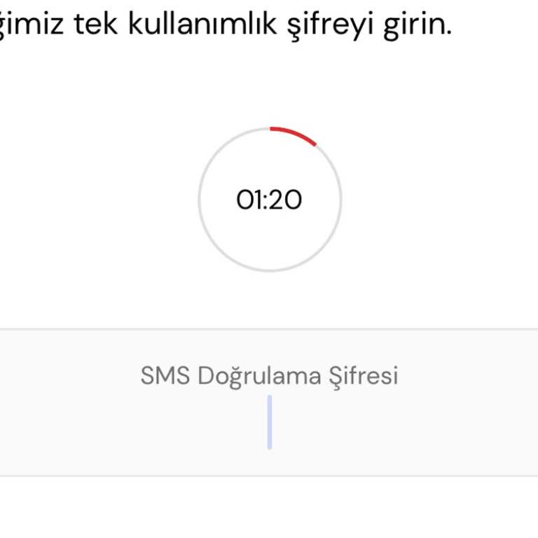Eski Numaram Yüzünden Passolig Hesabıma Erişemiyorum, Kod Alamıyorum!