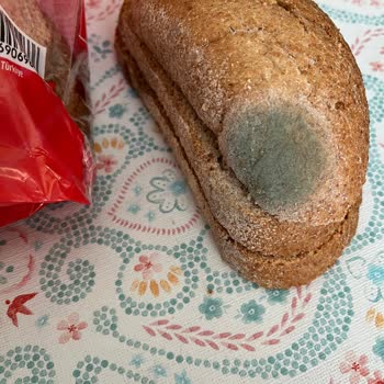 Şok Market'ten Gelen Küflü Ekmek Ve Eksik Ürün Sorunu