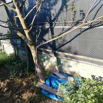 Mahalledeki Halı Saha Komşular Arasında Huzursuzluk Yaratıyor