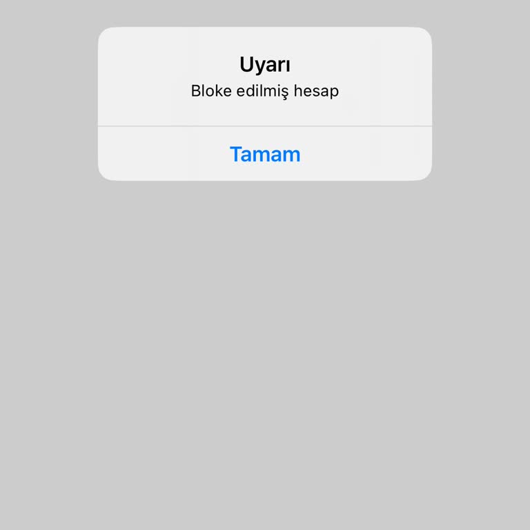 Hesabım Bloke Edildi, Giriş Yapamıyorum