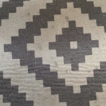 Yıkanmadan Gönderilen Halılar Ve Saygısız Hizmet