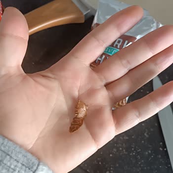 Kahve Paketinden Çıkan Plastik Cisim Şaşkınlığı