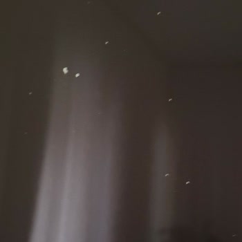 Samsung 65” QLED TV Şikayeti