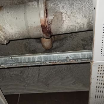 Dairemizde Sürekli Su Sızıntısı Ve Rutubet Sorunu Çözülmüyor