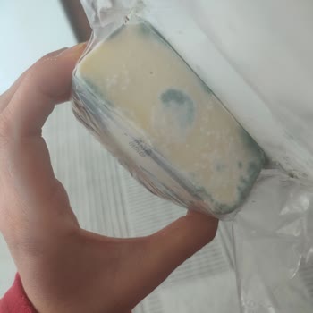 Satın Aldığım Kaşar Peynirinin Sürekli Küflenmesi Sorunu
