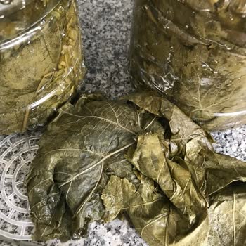 Sipariş Verdiğim Salamura Yapraklar Beklentimi Karşılamadı, İade Sürecinde Sorun Yaşıyorum