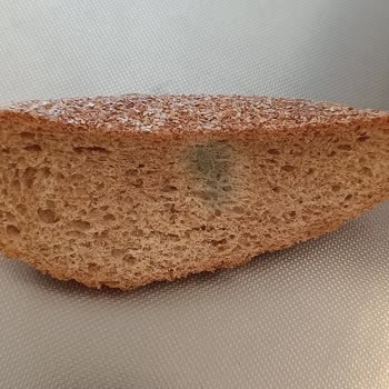 UNO Ekmeklerinde Küf Ve Bozulma Hayal Kırıklığı Yarattı