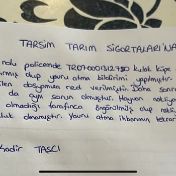 Sigorta Dosyalarım Haksız Şekilde Reddedildi, Güvenim Sarsıldı