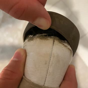 Adidas Spor Ayakkabının Arka Tabanı Kısa Sürede Çıktı, Mağduriyetimiz Giderilmiyor