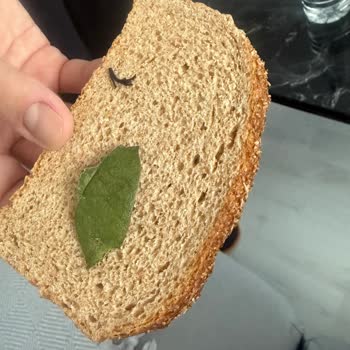 UNO Tam Buğday Ekmeğinde Yabancı Madde Ve Hijyen Endişesi