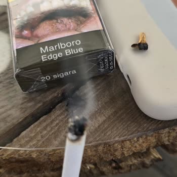 Sigara Paketinden Yabancı Maddeler Çıkıyor, Sağlığım Tehlikede!