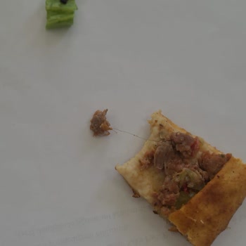 I Found Hair in My Food Order From Yemek Sepeti but Only Got Partial Refund