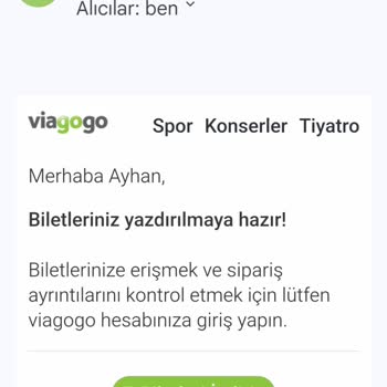 Viagogo liefert keine Tickets für Fenerbahçe Sivasspor trotz Bestätigung