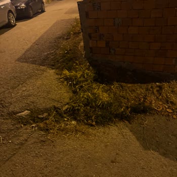 Tuzla Aydınlı Mahallesi'nde Yol Güvenliği Ve Ulaşım Sorunu