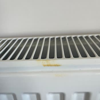 Aldığım Çocuk Pantolonunun Boyası Halıma Ve Eşyalarıma Bulaştı