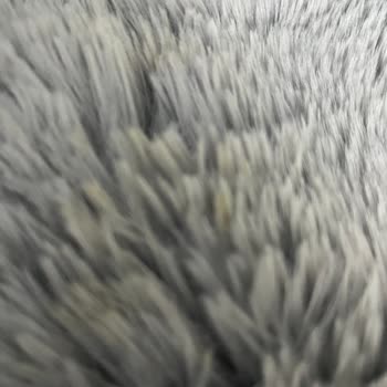 Aldığım Çocuk Pantolonunun Boyası Halıma Ve Eşyalarıma Bulaştı