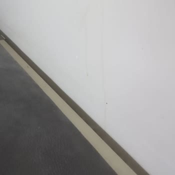 I Rented a 2-Month Airbnb in Istanbul and Faced Hygiene Issues With No Turkish Support