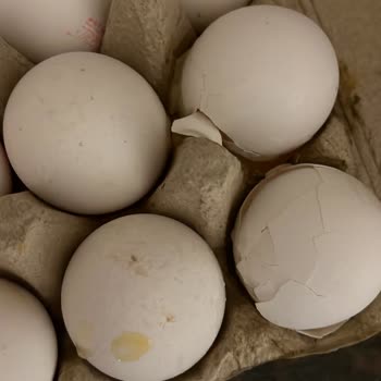 Eksik Ürün Teslimatı Ve Kırık Yumurtalar Sonrası İade Sorunu