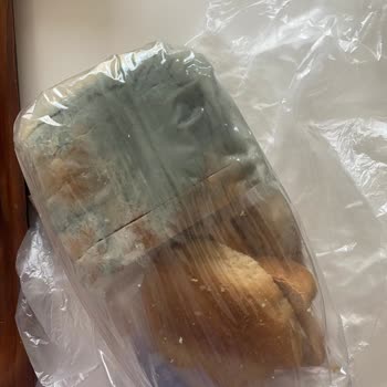 Aldığım Ekşi Mayalı Ekmek Küflü Çıktı!