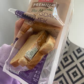Aldığım Ekşi Mayalı Ekmek Küflü Çıktı!
