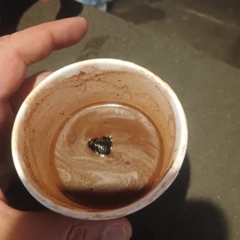 Sıcak Çikolatada Böcek Şoku: Sağlığımız Tehlikede!