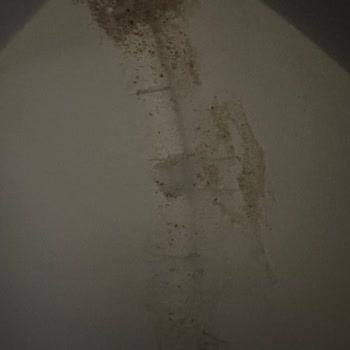 Garantiye Gönderdiğim Ürün Daha Kötü Döndü, Mağduriyetim Giderilmiyor!
