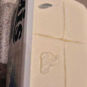 Mis Süzme Peynirde Şüpheli Yeşil Cisimlerle Karşılaştım