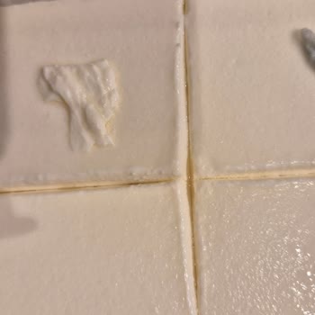 Mis Süzme Peynirde Şüpheli Yeşil Cisimlerle Karşılaştım