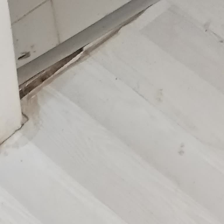 Konut Sigortası Su Baskınında Zararımı Karşılamadı