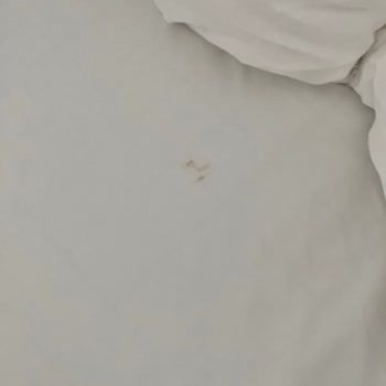 Regnum Carya'da Hijyen Ve Hizmet Kalitesi Hayal Kırıklığı Yarattı