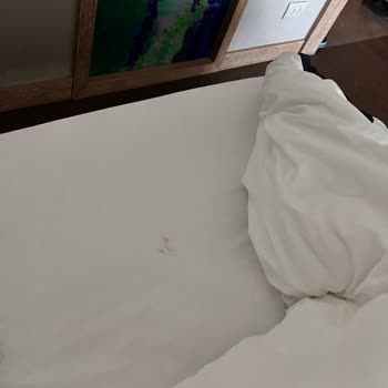 Regnum Carya'da Hijyen Ve Hizmet Kalitesi Hayal Kırıklığı Yarattı