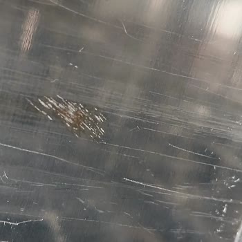 Bosch Paslanmaz Çelik Bulaşık Makinesi 1 Yılda Paslandı, Servis Sorunu Çözmüyor!