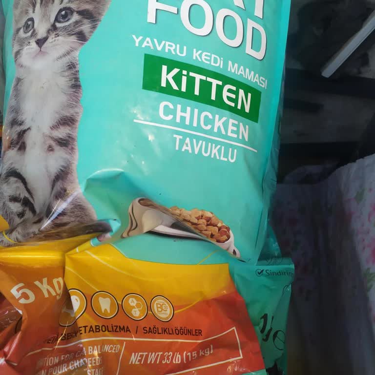 Ozzy Kedi Maması Koklayan Kedi Mamadan Uzaklaşıyor!