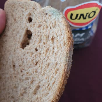 Aldığım Uno Ekmek Son Kullanma Tarihinden Önce Küflendi İkinci Kez Aynı Sorun