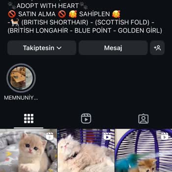 Instagram'da Sahiplenme Vaadiyle Yaşadığım Maddi Kayıp