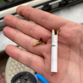 Marlboro Touch Gray Paketlerinden Çıkan Odun Parçaları Şikayeti